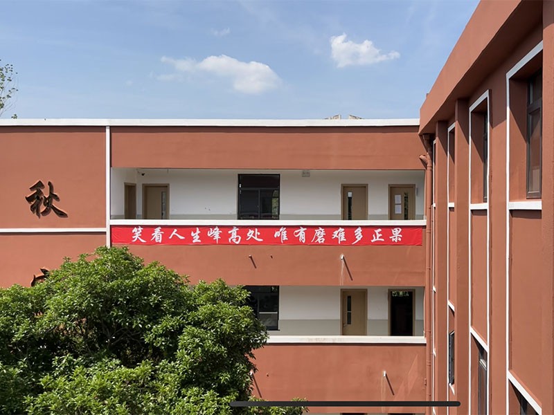 湖北省世达实用外国语学校-教学楼2.jpg